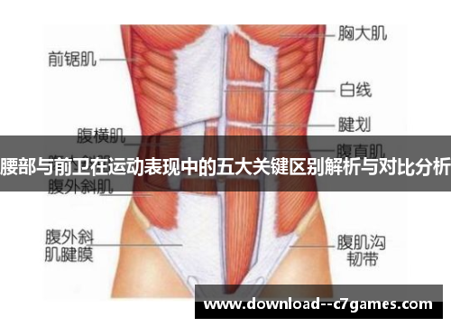 腰部与前卫在运动表现中的五大关键区别解析与对比分析