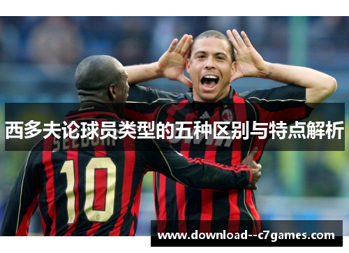 西多夫论球员类型的五种区别与特点解析